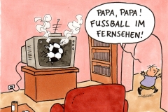 Oliver Ottitsch - Fussball im Fernsehen