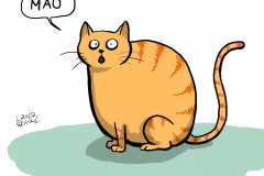 Dorthe Landschulz - chinesische Katze