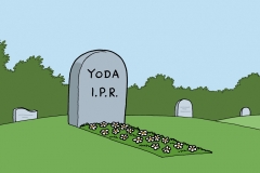 Miguel Fernandez - IPR